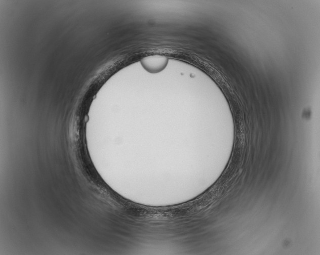 X0000116450731201001191552