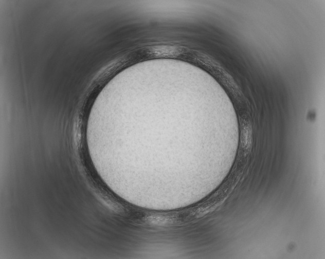 X0000116450733201001191552