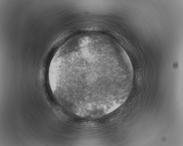 X0000116450735201001191552