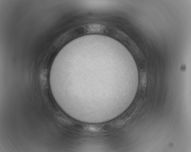 X0000116450737201001191552