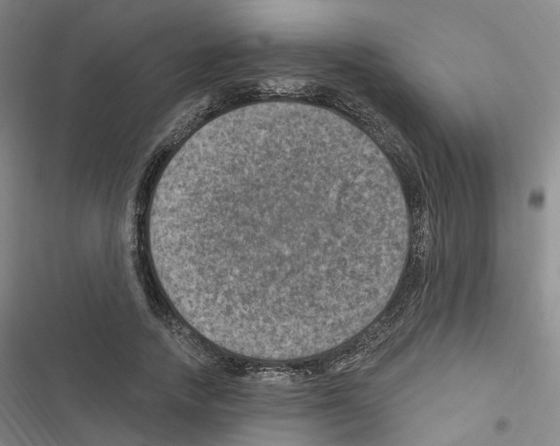 X0000116450738201001191552