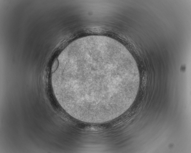 X0000116450739201001191552