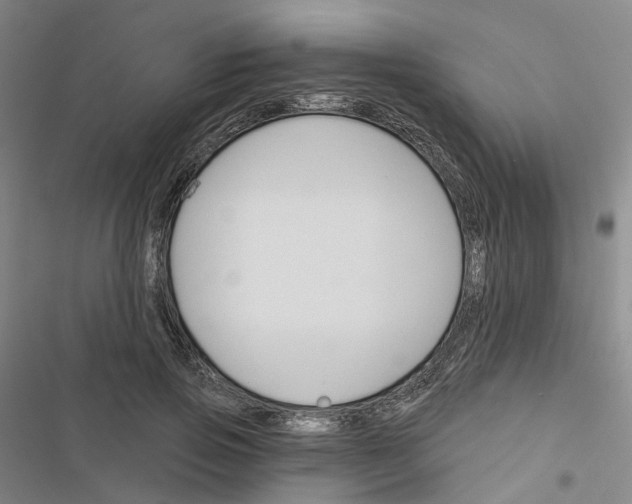 X0000116450741201001191552