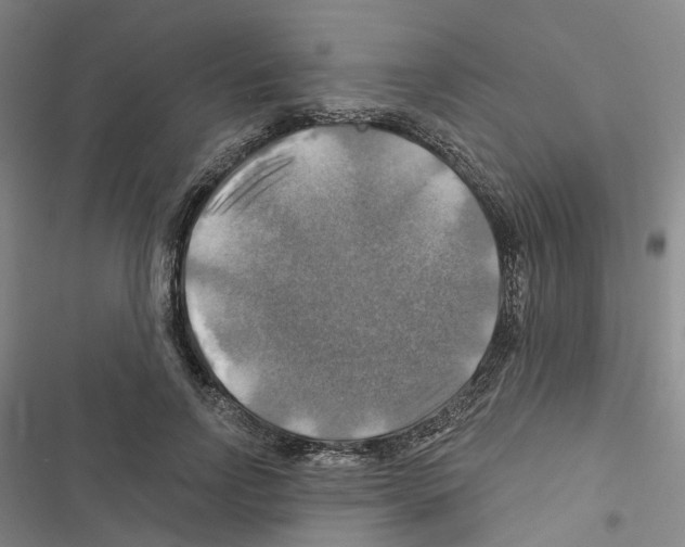 X0000116450742201001191552