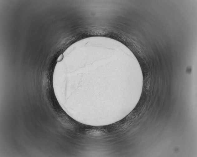 X0000116450743201001191552
