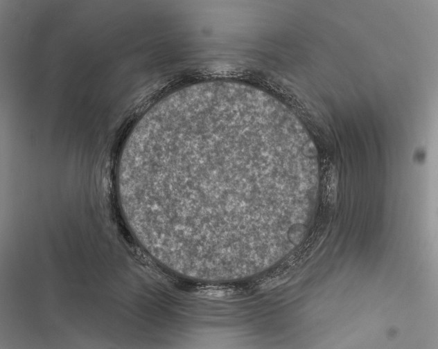 X0000116450746201001191552