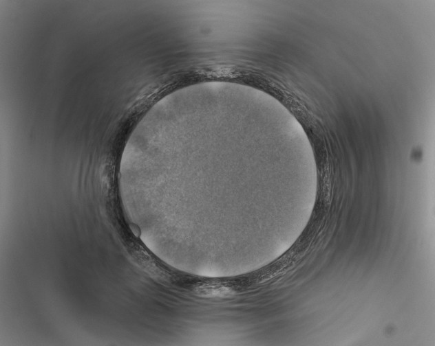 X0000116450747201001191552