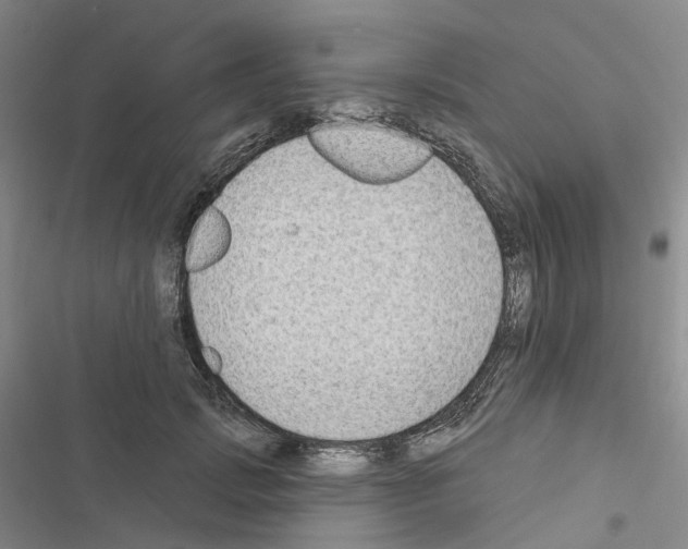 X0000116450749201001191552