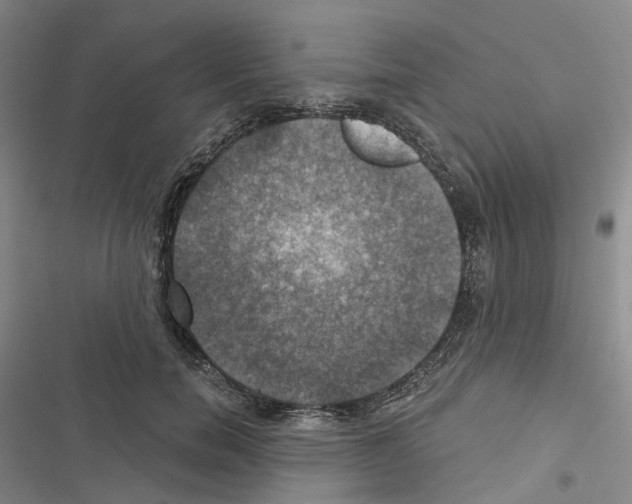 X0000116450750201001191552