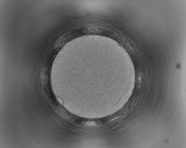X0000116450751201001191552