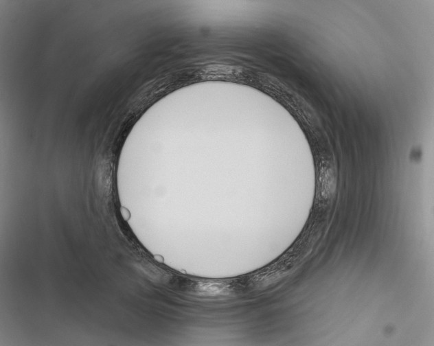X0000116450753201001191552