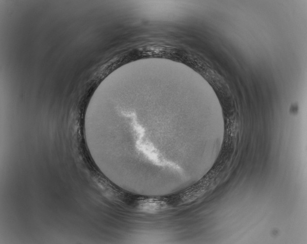 X0000116450754201001191552