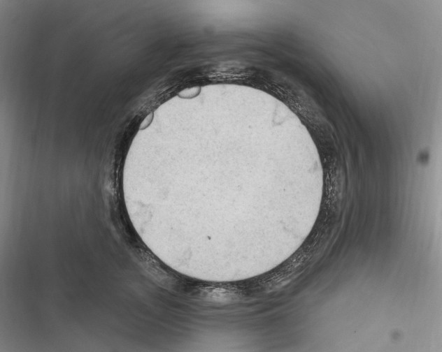 X0000116450755201001191552