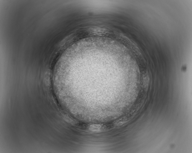 X0000116450757201001191552