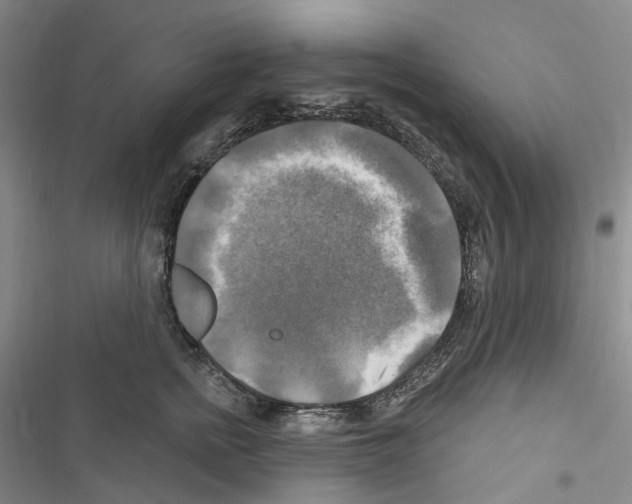 X0000116450758201001191552