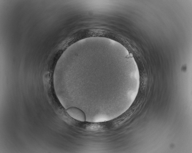 X0000116450759201001191552