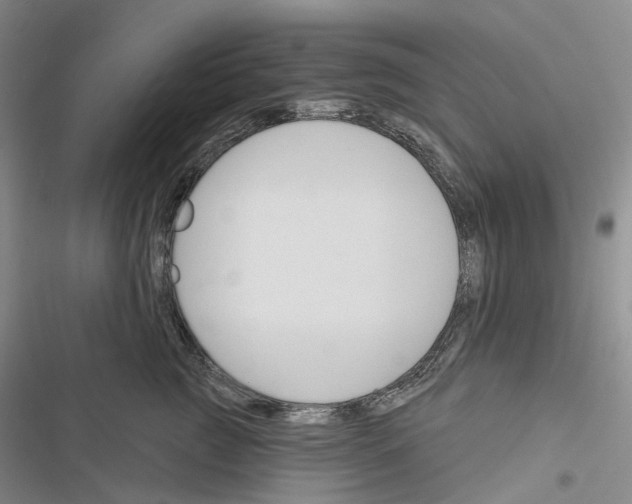 X0000116450761201001191552