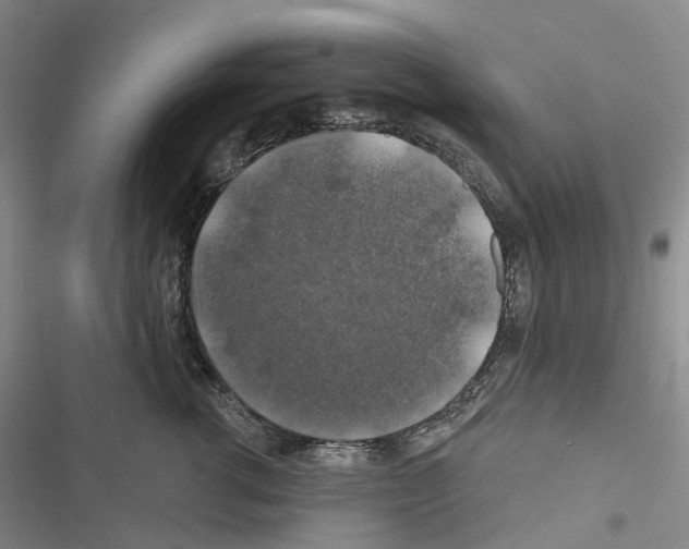 X0000116450762201001191552