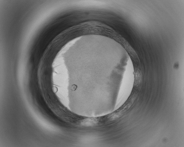 X0000116450765201001191552