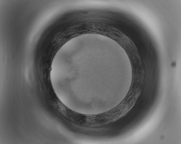 X0000116450766201001191552