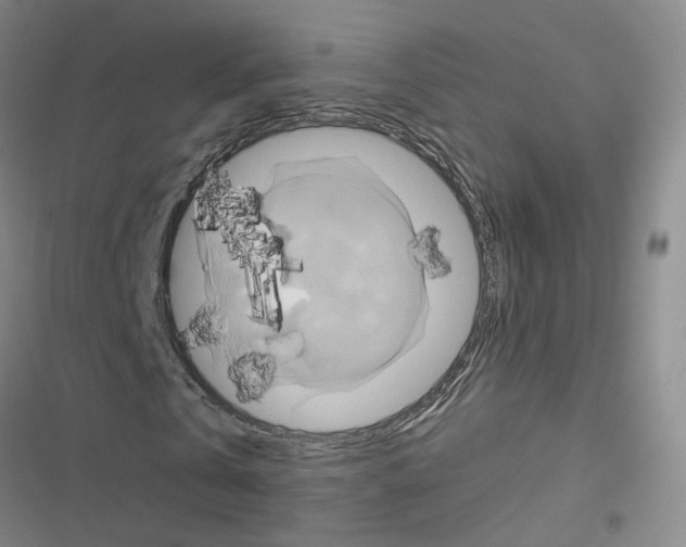 X0000116450769201001191552