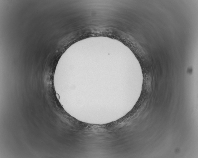 X0000116450770201001191552