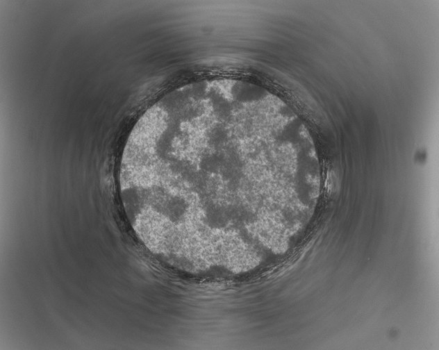 X0000116450771201001191552