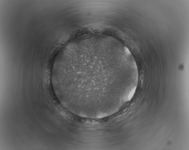 X0000116450772201001191552