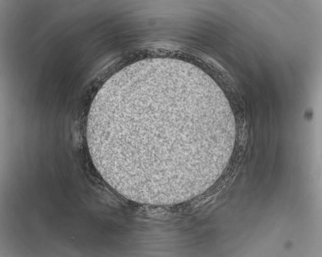 X0000116450774201001191552