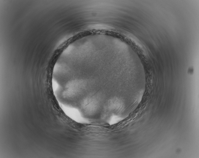 X0000116450775201001191552