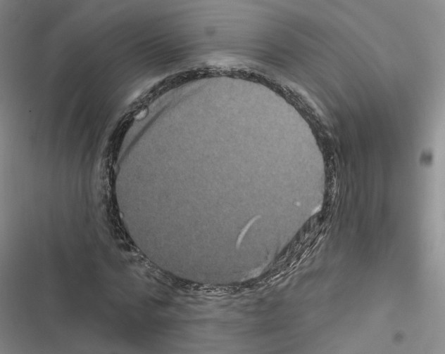 X0000116450776201001191552