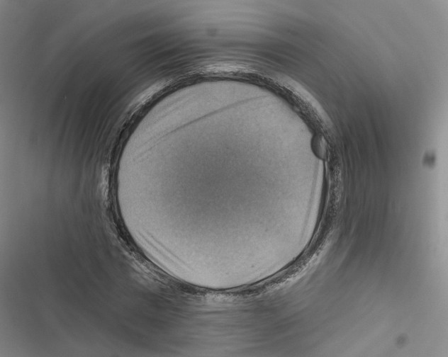 X0000116450777201001191552