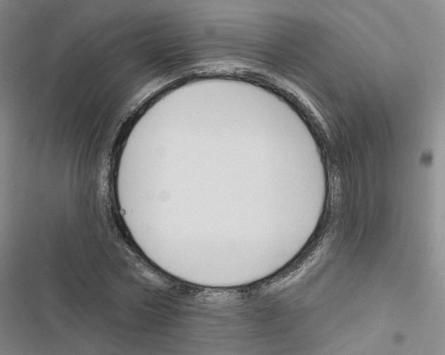X0000116450778201001191552