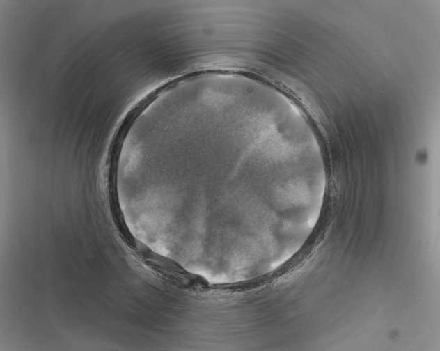 X0000116450779201001191552