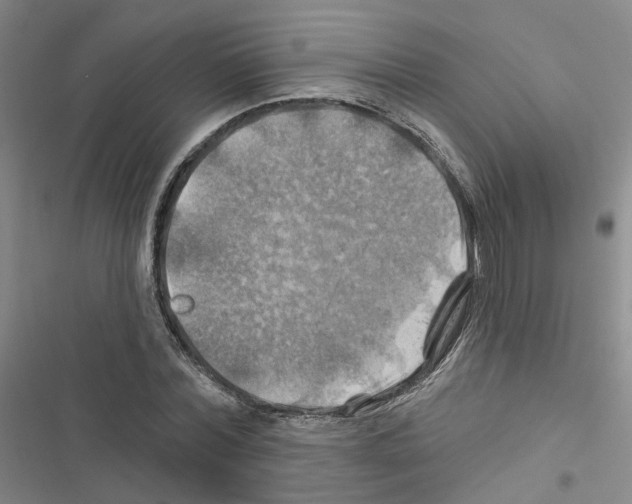 X0000116450780201001191552