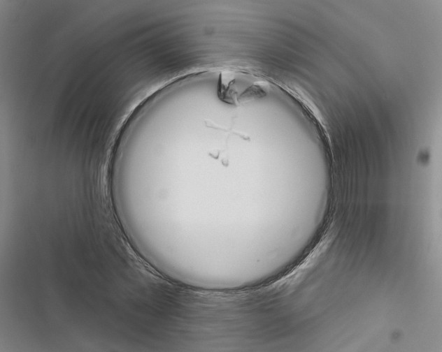 X0000116450781201001191552