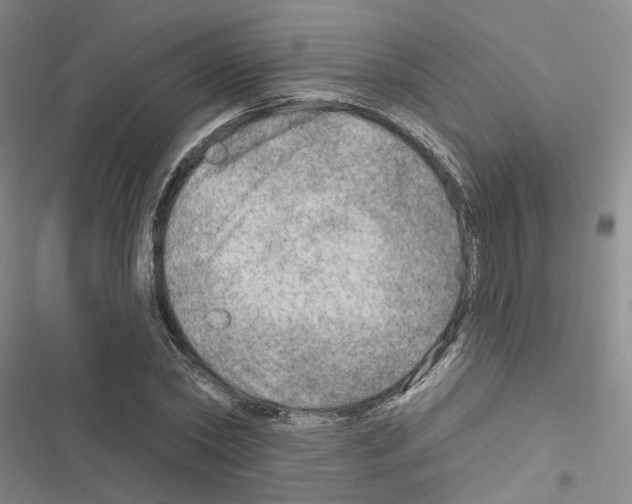 X0000116450782201001191552
