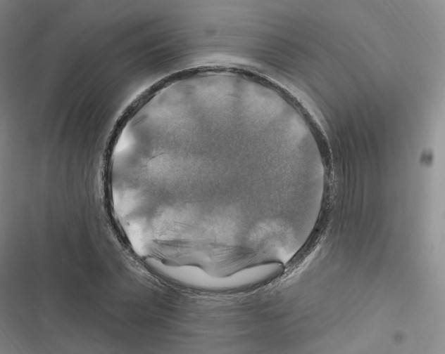 X0000116450783201001191552