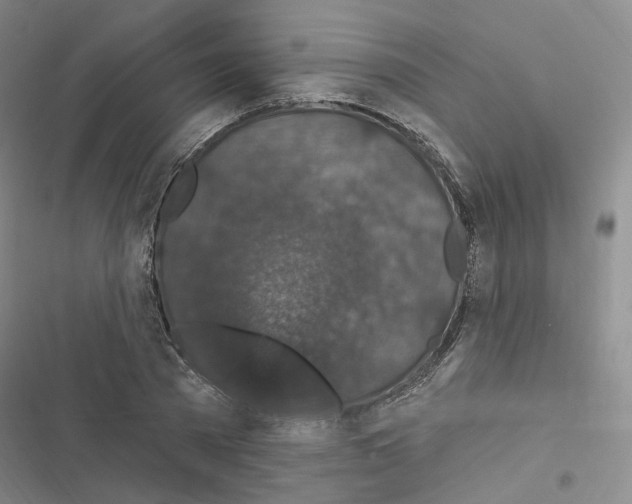 X0000116450785201001191552