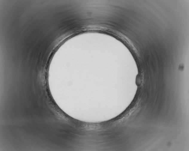 X0000116450786201001191552