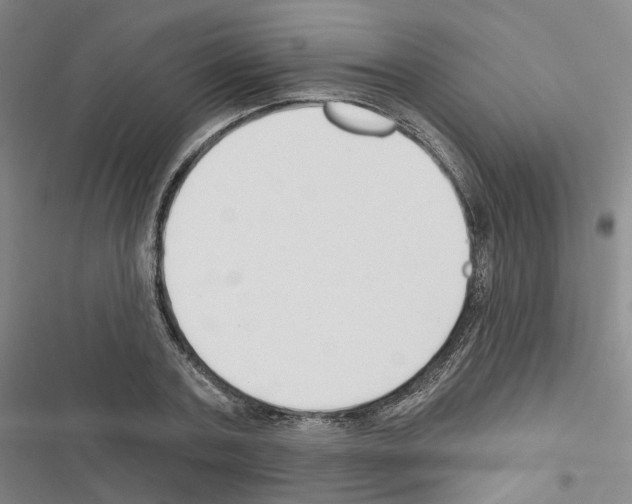 X0000116450787201001191552