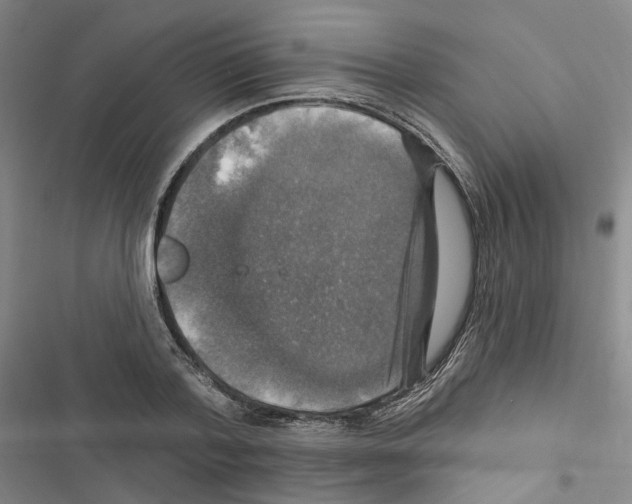 X0000116450788201001191552