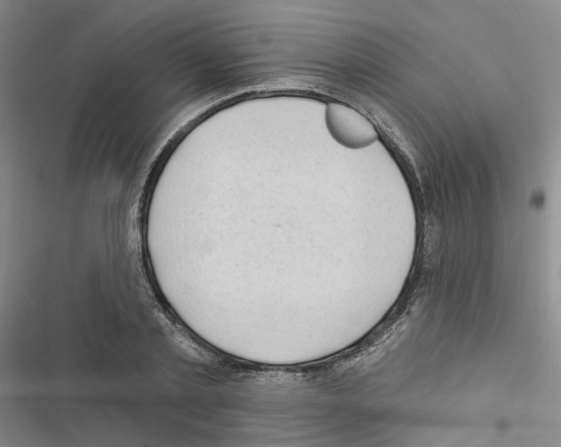 X0000116450789201001191552