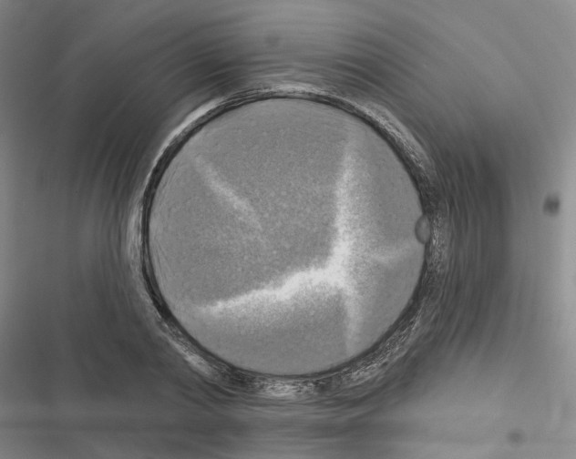 X0000116450790201001191552