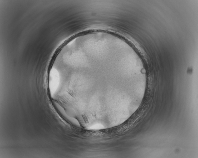 X0000116450791201001191552