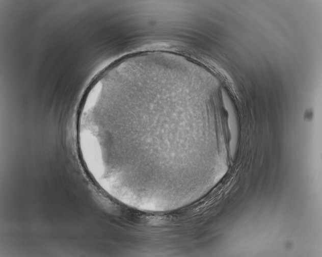 X0000116450792201001191552