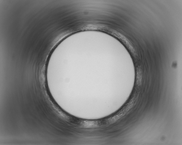 X0000116450794201001191552