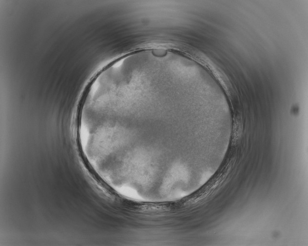 X0000116450795201001191552