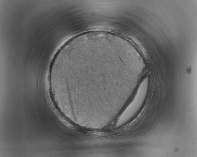 X0000116450796201001191551