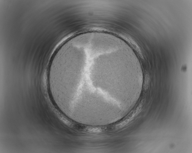X0000116450798201001191551